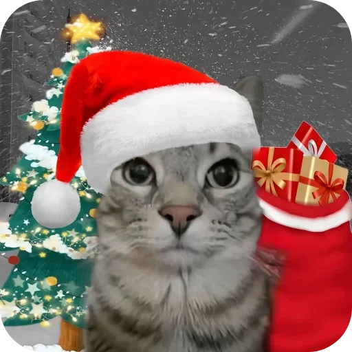Котики и Новый Год
