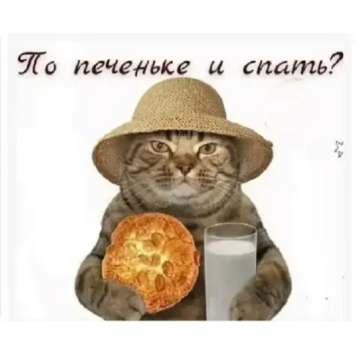 Пожелания и поздравления