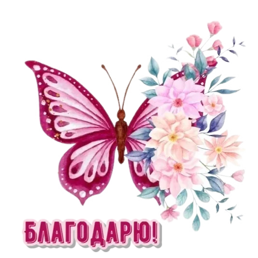 Цветы