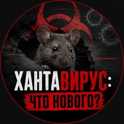 Хантавирус: что нового?