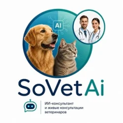 Ветеринар в кармане