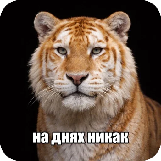 Седня не