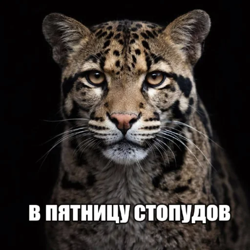 Седня не