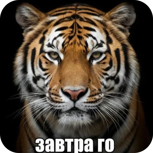Седня не
