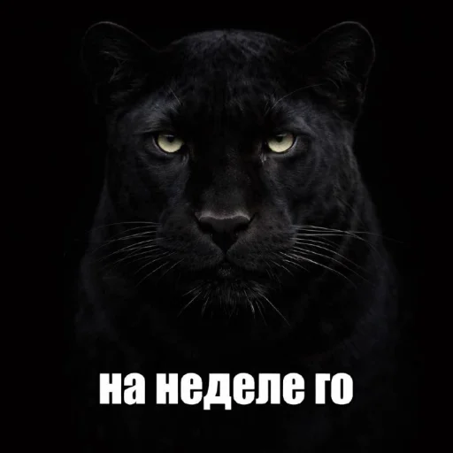 Седня не